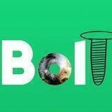 Бесплатный BOLT