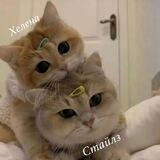 сонная лощина