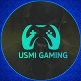 USMI GAMING