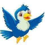 Cuckoo