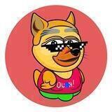 DUCKY DOGE CONTEST