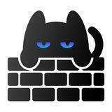 Catnet 官方用户群