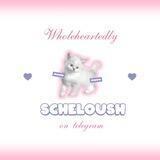 ∘ '𖤝 testi scheloush