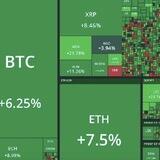 📊👑کوین دیجیتال 🇮🇷 Coin Digitali