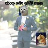 යාලුවන්ගෙ Photo වලින් Meme හදමු