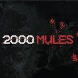 2000 MULES Q