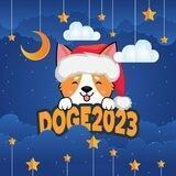 Doge 2023 (BSC)