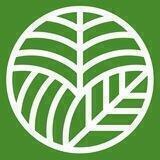 Organic Origin