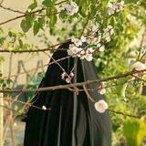 سلفية على دين الحق 🪷