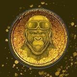 Teh Apes Portal