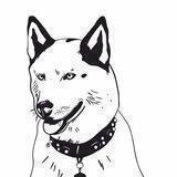 Odinhusky_msk