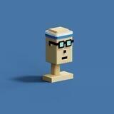 Bitpunks NFT