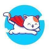 FLYING CAT COIN