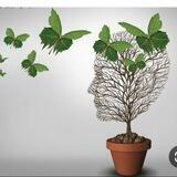 طرحواره درمانی با سید مرتضی موسوی