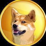 DogeStepApp