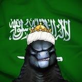 SAUDI ZILLA