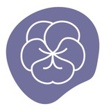 Pansy