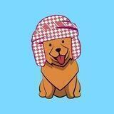 SaudiChowChow CH