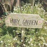 fairyf. ♡