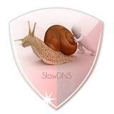 Slow Dns - VPN MOD