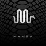 Black $MAMBA Channel