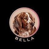 Welsh $Bella | BRB20