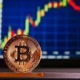 LOUIS INVESTMENT_ COMPANY EXCHANGE