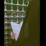 القارئة رقية محمد خليل ❤️✨