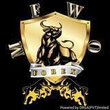 MFWO