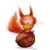 Та самая белка 🐿️