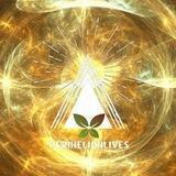 Perihelionlives