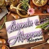 🌷Lavanda e Alfazema 🍃