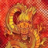 Shiruto Portal