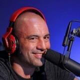 Joe Rogan's group