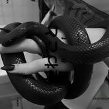 ﾟ° ᴄʀʏsᴛᴀʟɪxx ° ﾟ 「ᴋᴀнᴀᴧ 」