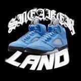 Sneaker Land