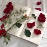 قنوات ذكر ❤