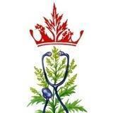 Здравница Полынь. Знахари, целители.
