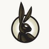 Rabbit Hole