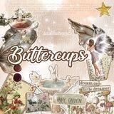 BUTTERCUPS ; PROMO