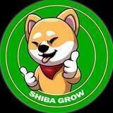 Shiba Grow 🇨🇳