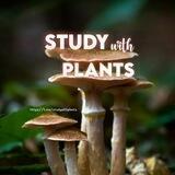 Study With Plants 🌱
