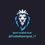 Sport football Goal