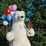 Белый Мишка в Калининграде