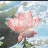 WY频道《禁广告》