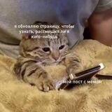 Лимонные мемы