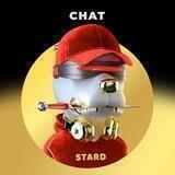 StarD - STAR OF DOGE | KYC & AUDIT