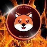 BURN INU $BINU JOIN CHANNEL