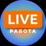Работа LIVE