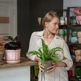 PLANTS.NSK